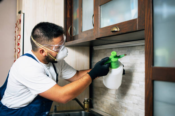 Best Best Pest Control Companies  in Herscher, IL