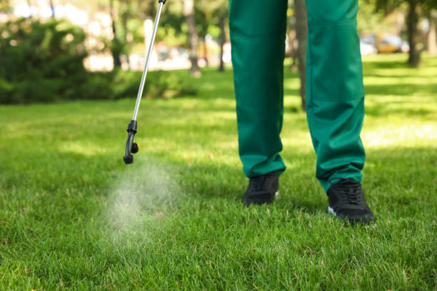 Best Best Pest Control Companies  in Herscher, IL