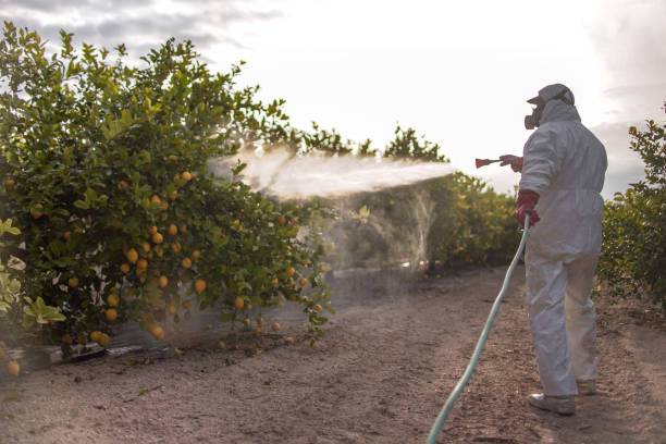 Best Bed Bug Extermination  in Herscher, IL
