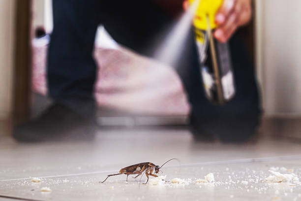 Best Exterminator Services  in Herscher, IL