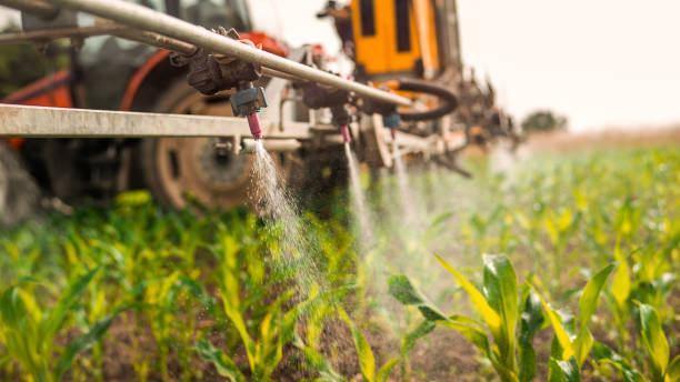 Best Local Pest Control Services  in Herscher, IL